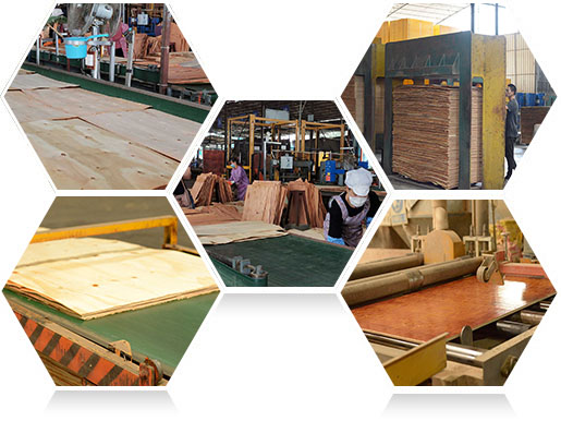 —高效生產(chǎn)，快速交貨